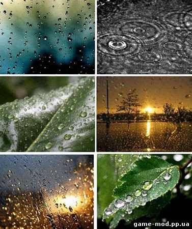 Beautiful Rainy Nature Wallpapers Set-1